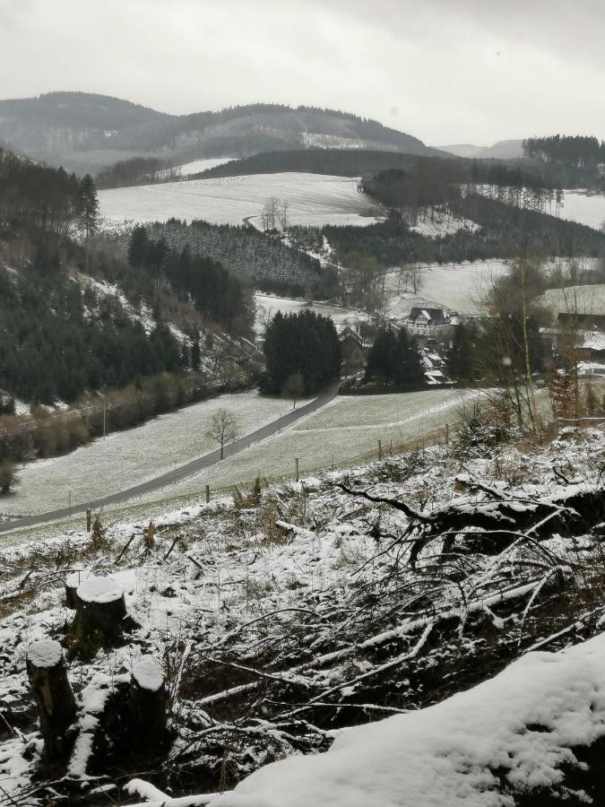 Kleines Ferienhaus Mit Charme Meschede Eksteriør bilde